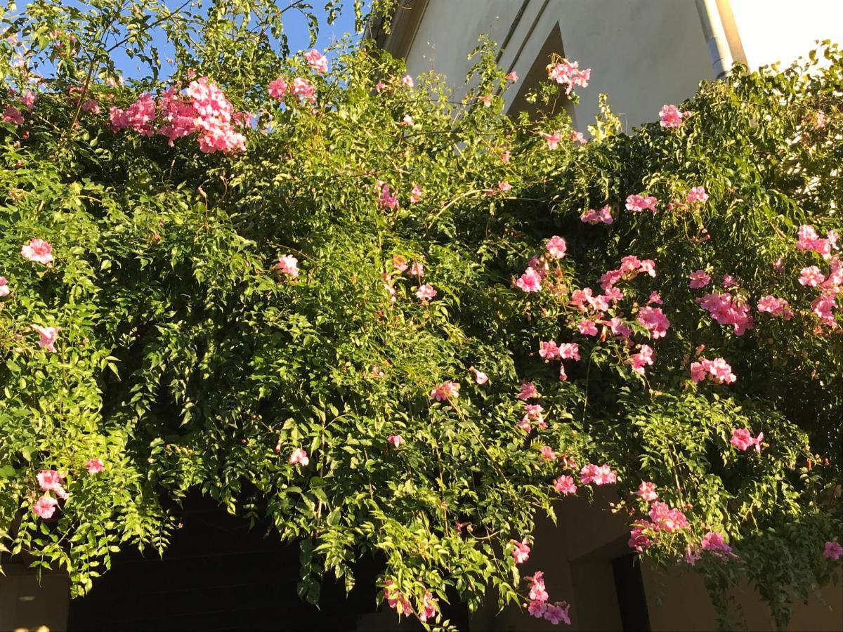 Appartement Elsa Βαλένθια Εξωτερικό φωτογραφία